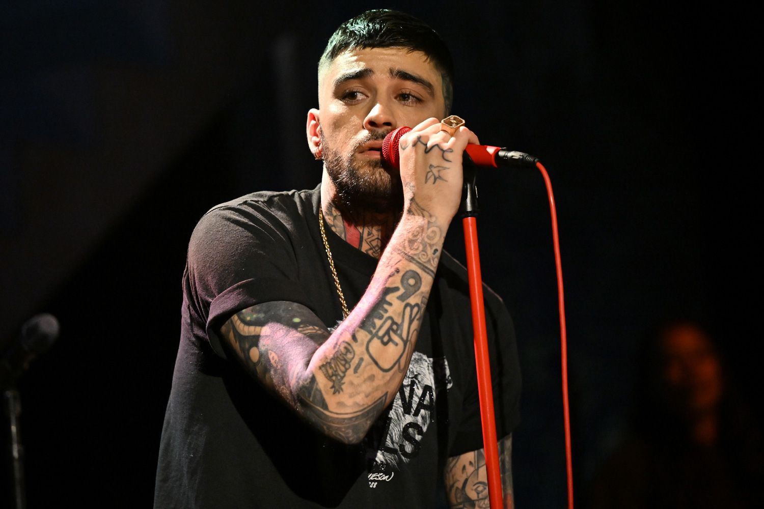 ZAYN live performance